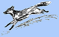 Fox emblem